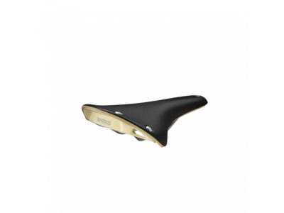 BROOKS Cambium C17 Special Recycled Black