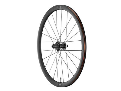 GIANT SLR 1 36 Disc Wheelsystem Rear click to zoom image