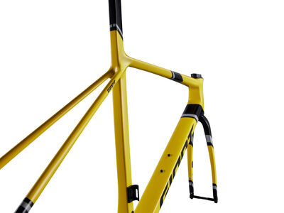 GIANT TCR Advanced SL Legends Edition Frameset Legends Edition click to zoom image