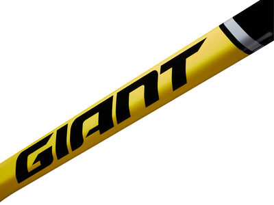 GIANT TCR Advanced SL Legends Edition Frameset Legends Edition click to zoom image