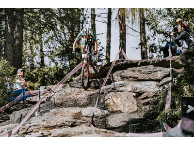 GIANT Anthem Advanced SL SE World Champion Frameset click to zoom image