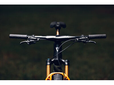 GIANT Anthem Advanced SL SE World Champion Frameset click to zoom image