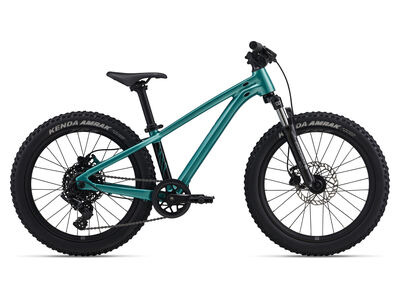 GIANT STP 20 FS Teal