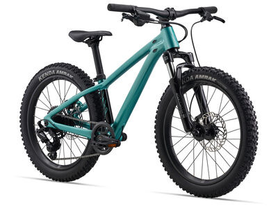 GIANT STP 20 FS Teal click to zoom image
