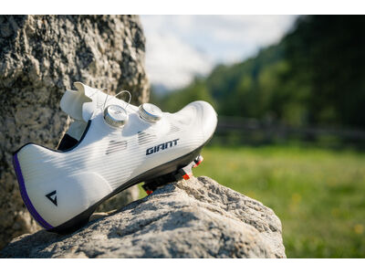 GIANT Surge Pro click to zoom image