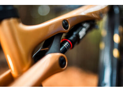 LIV Pique Advanced SL 0 Raw Carbon / Steampunk click to zoom image