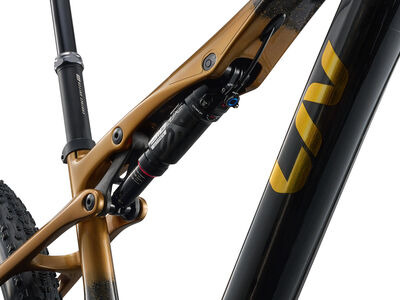 LIV Pique Advanced SL 0 Raw Carbon / Steampunk click to zoom image