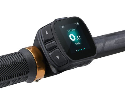 LIV Embolden E+ 1 click to zoom image