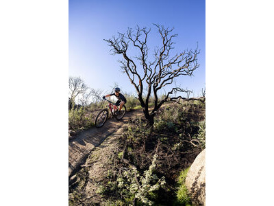 LIV Pique Advanced 29 0 click to zoom image