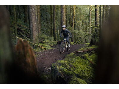 LIV Embolden Pale Moss click to zoom image