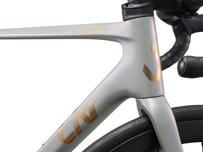 LIV Langma Advanced Pro 1-PC click to zoom image
