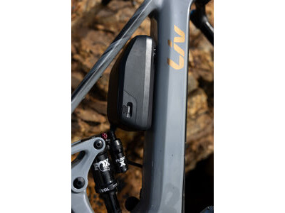 LIV Intrigue Advanced E+ 1 Stardust Grey click to zoom image