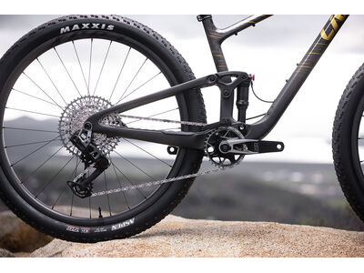 LIV Pique Advanced 29 1 Raw Carbon click to zoom image